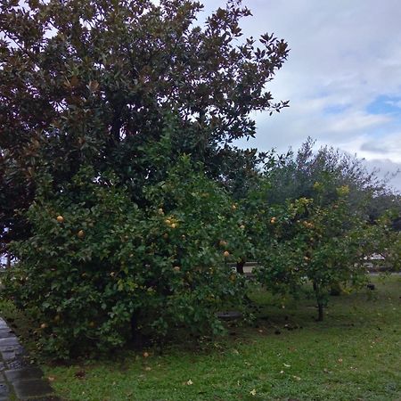 Villa Pellicano -Il Nido Castellammare di Stabia Zewnętrze zdjęcie