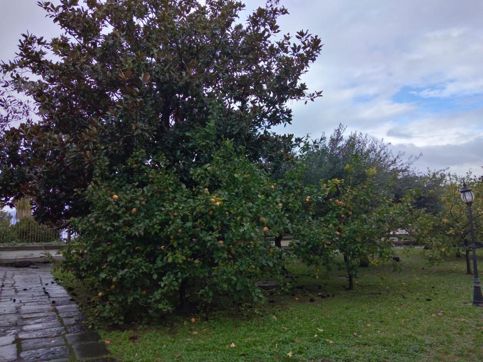Villa Pellicano -Il Nido Castellammare di Stabia Zewnętrze zdjęcie